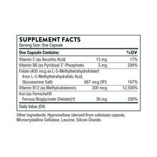 Load image into Gallery viewer, Ferrabsorb