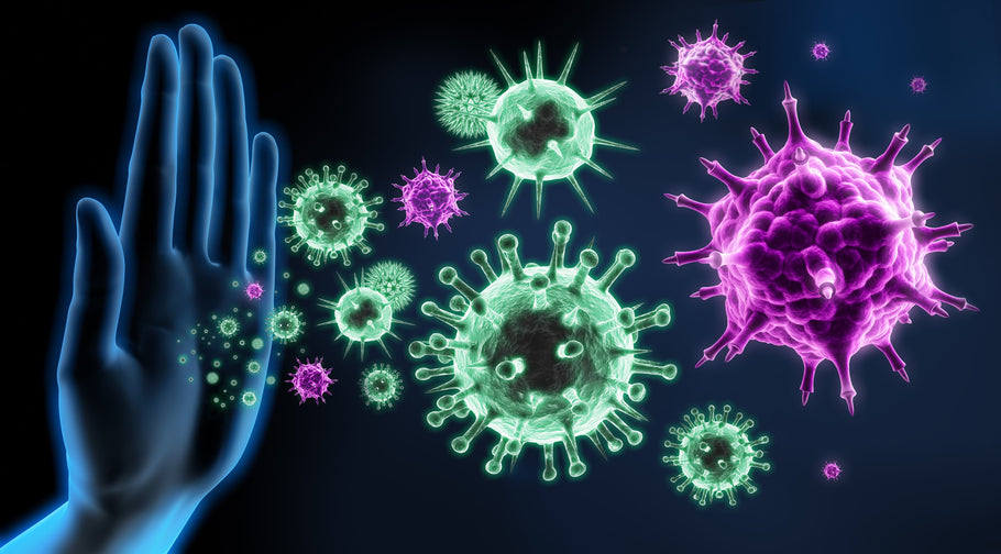 How to support your immune system